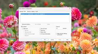 Advanced boot option on Windows