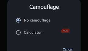 Mobile pop-up modal titled "Camouflage" displaying radio button options for "No camouflage" and "Calculator"