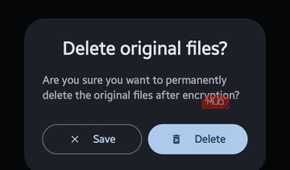 Confirmation dialog box titled "Delete original files?" presenting options to Save or Delete files after encryption