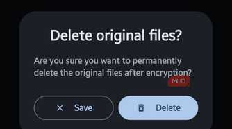 Confirmation dialog box titled "Delete original files?" presenting options to Save or Delete files after encryption