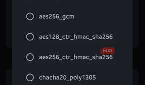 Settings dialog displaying a scrollable list of encryption algorithms including various AES and ChaCha20 options