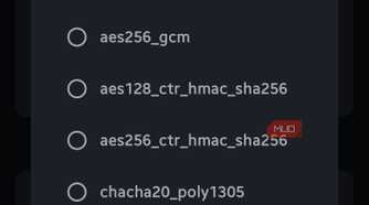 Settings dialog displaying a scrollable list of encryption algorithms including various AES and ChaCha20 options