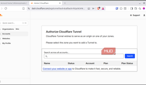 Authorizing Cloudflare Tunnel