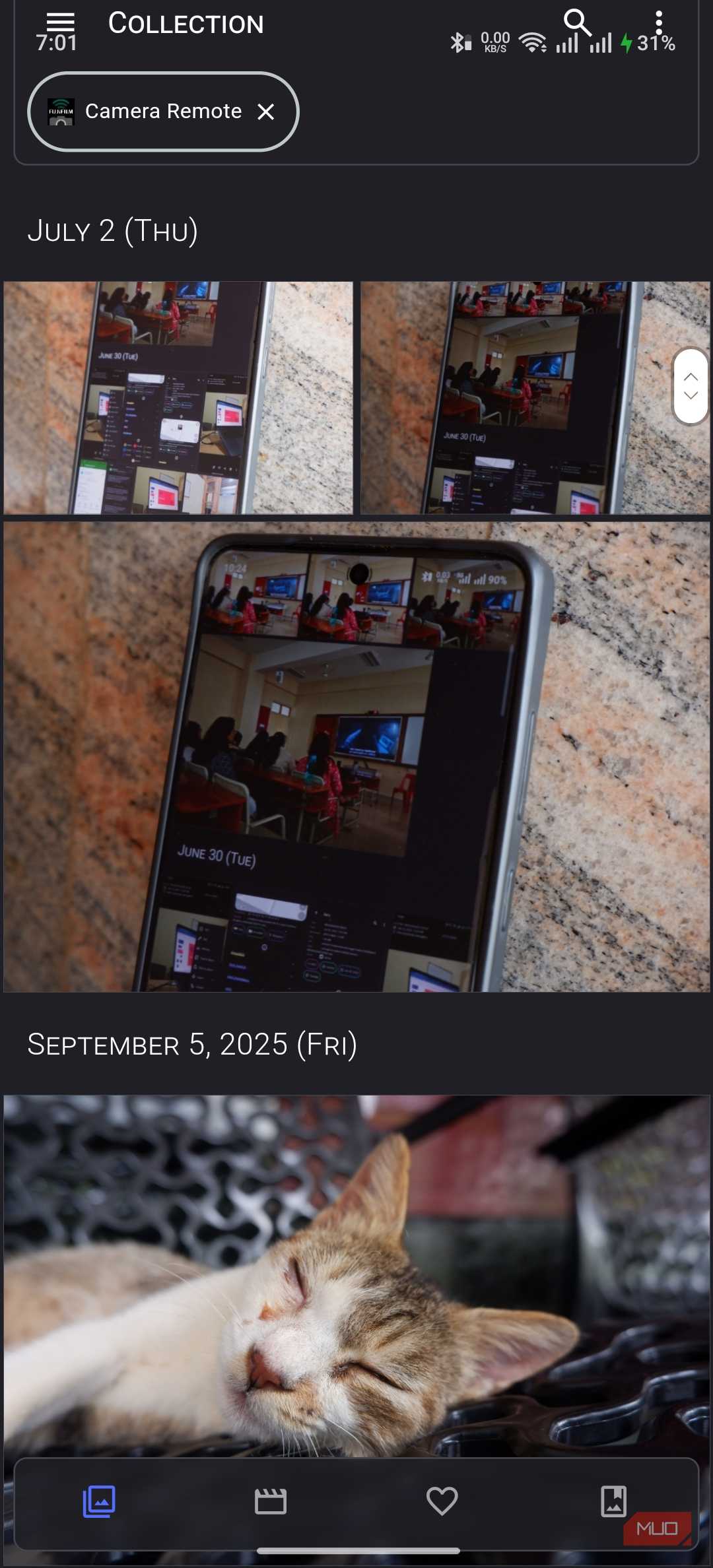 Aves Gallery Multiple Options