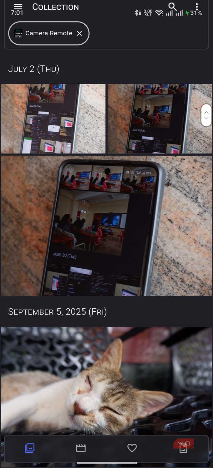 Aves Gallery Multiple Options