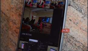 Aves Gallery Multiple Options