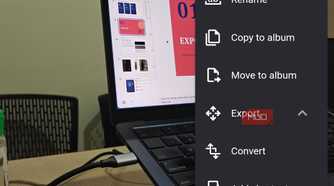Aves Gallery contextual menu options