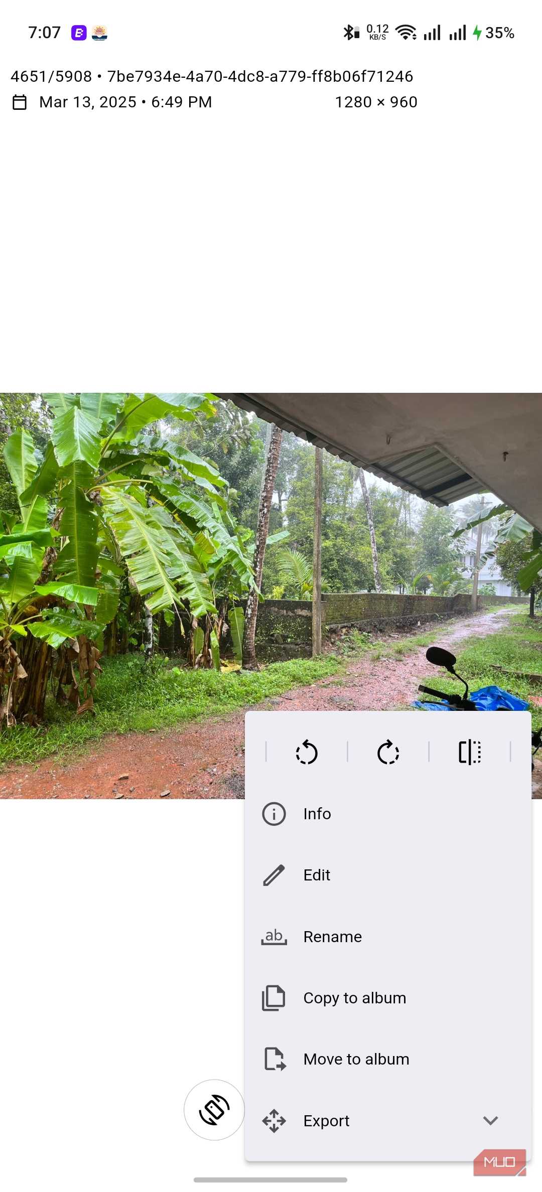 Aves Gallery Single Photo View