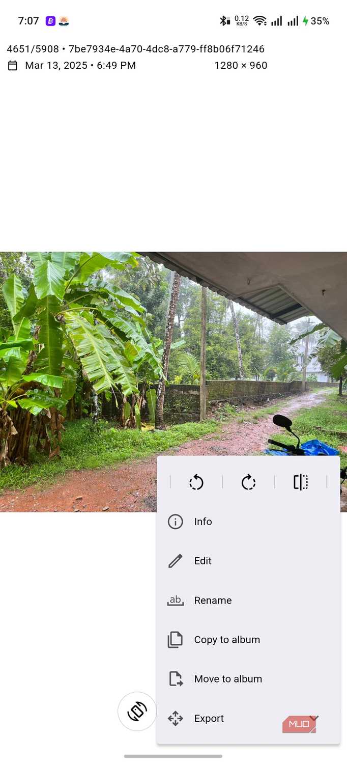 Aves Gallery Single Photo View