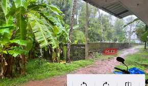 Aves Gallery Single Photo View