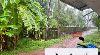 Aves Gallery Single Photo View