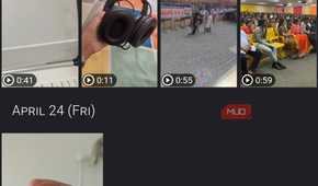 Aves Gallery showing videos