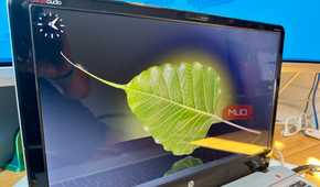Bodhi linux on laptop