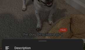 a YouTube short playing on the Brave browser