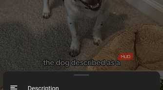 a YouTube short playing on the Brave browser
