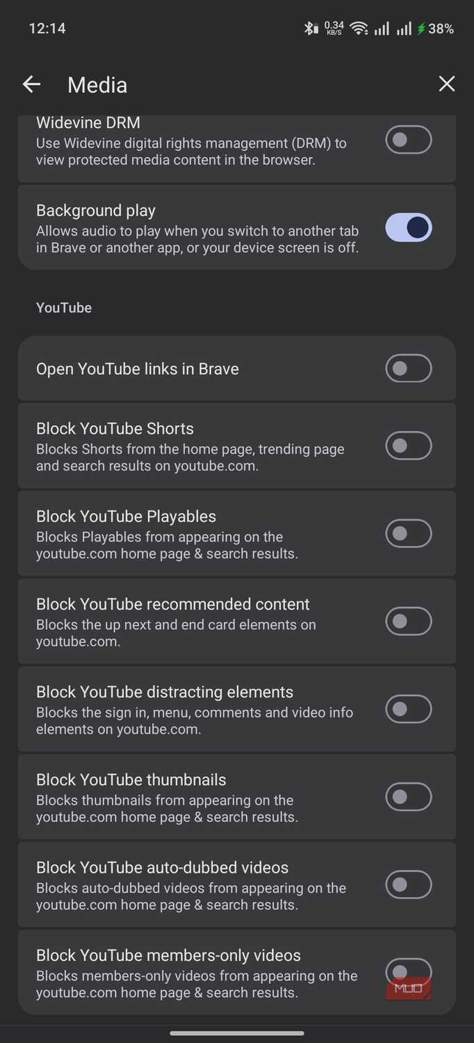 advanced customization options for YouTube on Brave Browser