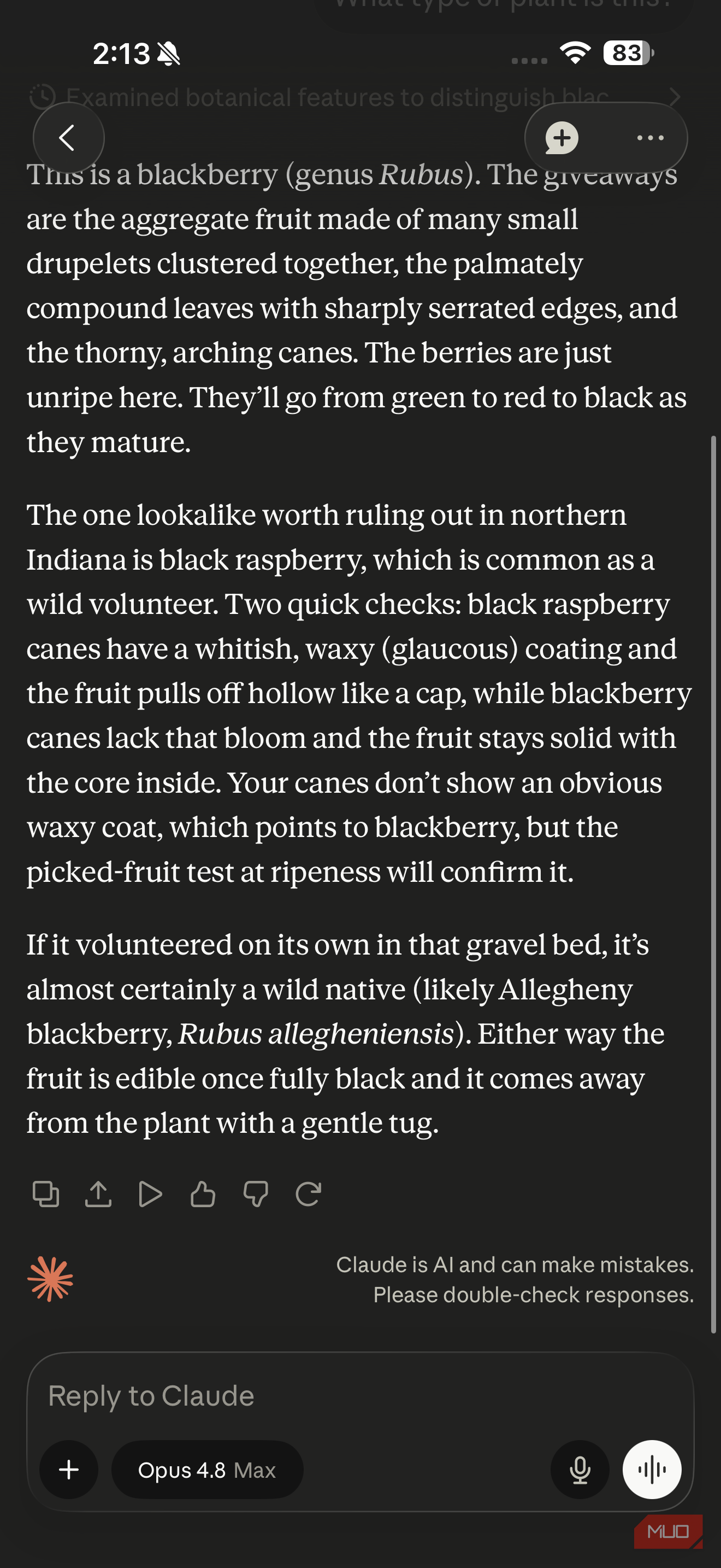 claude response to plant identification question 2