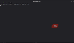 Cloudflared verion on Linux