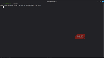 Cloudflared verion on Linux