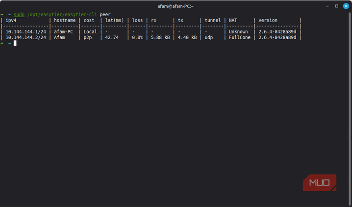 connect EasyTier devices