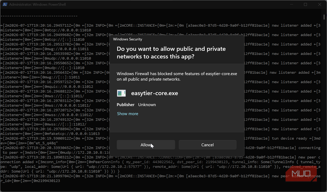 Connecting EasyTier on Windows device