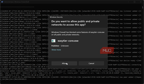 Connecting EasyTier on Windows device