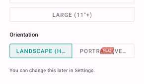 Display Settings Configuration Screen Showing Phone Screen Size And Landscape Orientation Selection