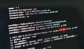 dns quad9 configuration in terminal for proxmox.