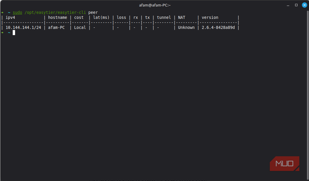 EasyTier showing my mode