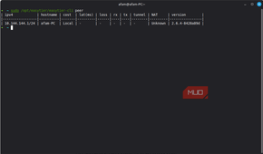 EasyTier showing my mode