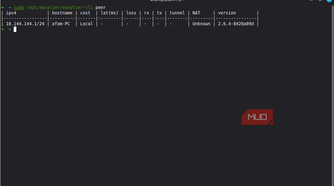 EasyTier showing my mode
