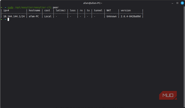 EasyTier showing my mode