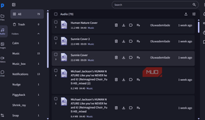 File manager interface showing audio files
