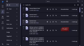 File manager interface showing audio files