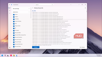 FluentCleaner Recycle Bin file list
