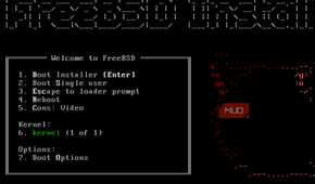 FreeBSD on a virtual machine