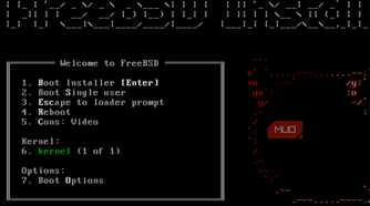 FreeBSD on a virtual machine