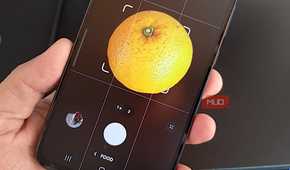 Galaxy phone using Food mode to frame an orange inside the focus area