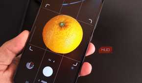 Galaxy phone using Food mode to take a pic of an orange inside the adjustable focus area