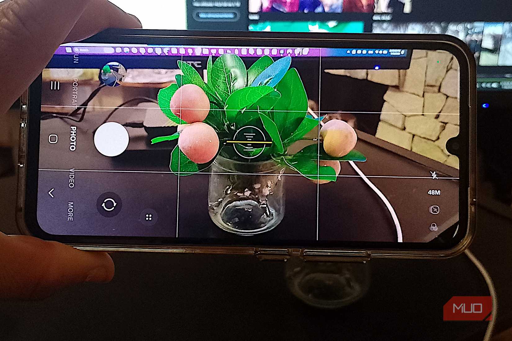 Galaxy phone using the camera grid to frame a vase of flowers