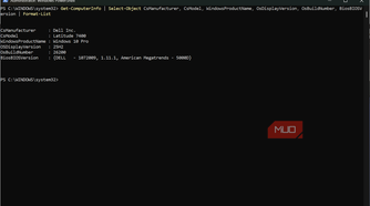 Get Info command with BIOS version