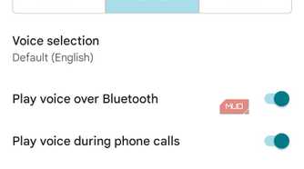 Screenshot of Google Maps navigation settings.