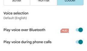 Screenshot of Google Maps navigation settings.