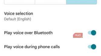 Screenshot of Google Maps navigation settings.