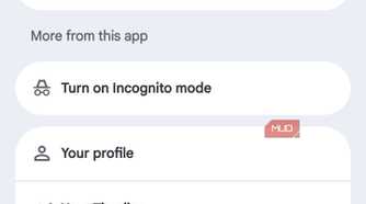 Google Maps account menu showing profile options including Offline maps and Timeline