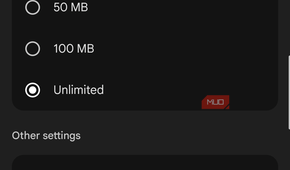Google Photos with roaming backups off.
