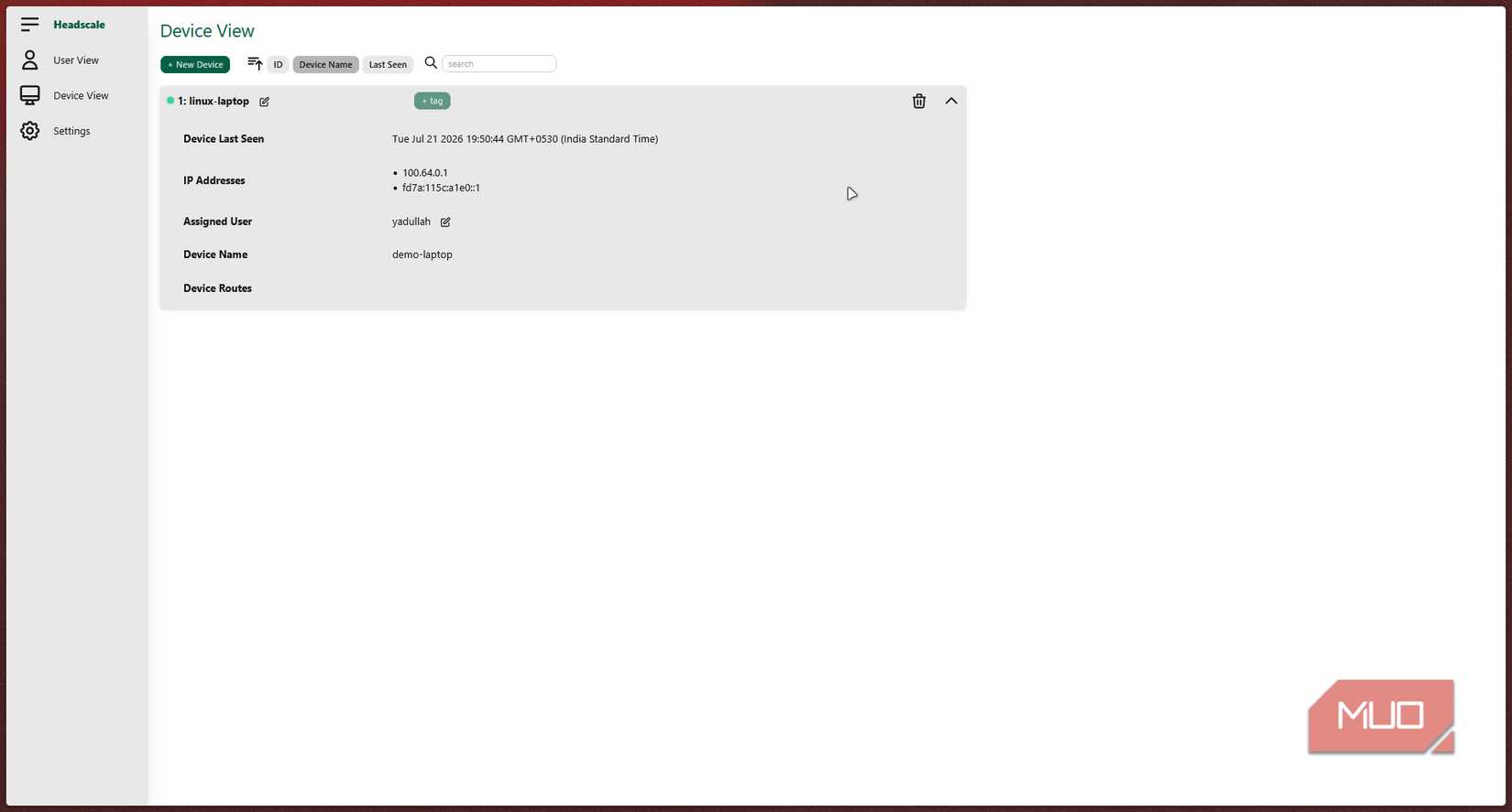 Headscale ui device view.