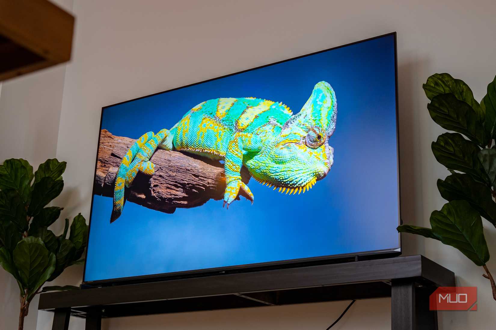 Hisense U6SF on dark console table displaying a colorful chameleon perched on a branch against a blue background.