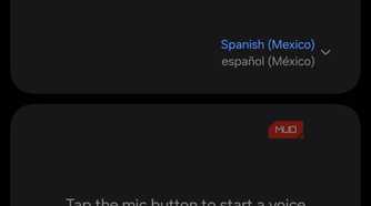 Interpreter feature on Samsung Galaxy phone