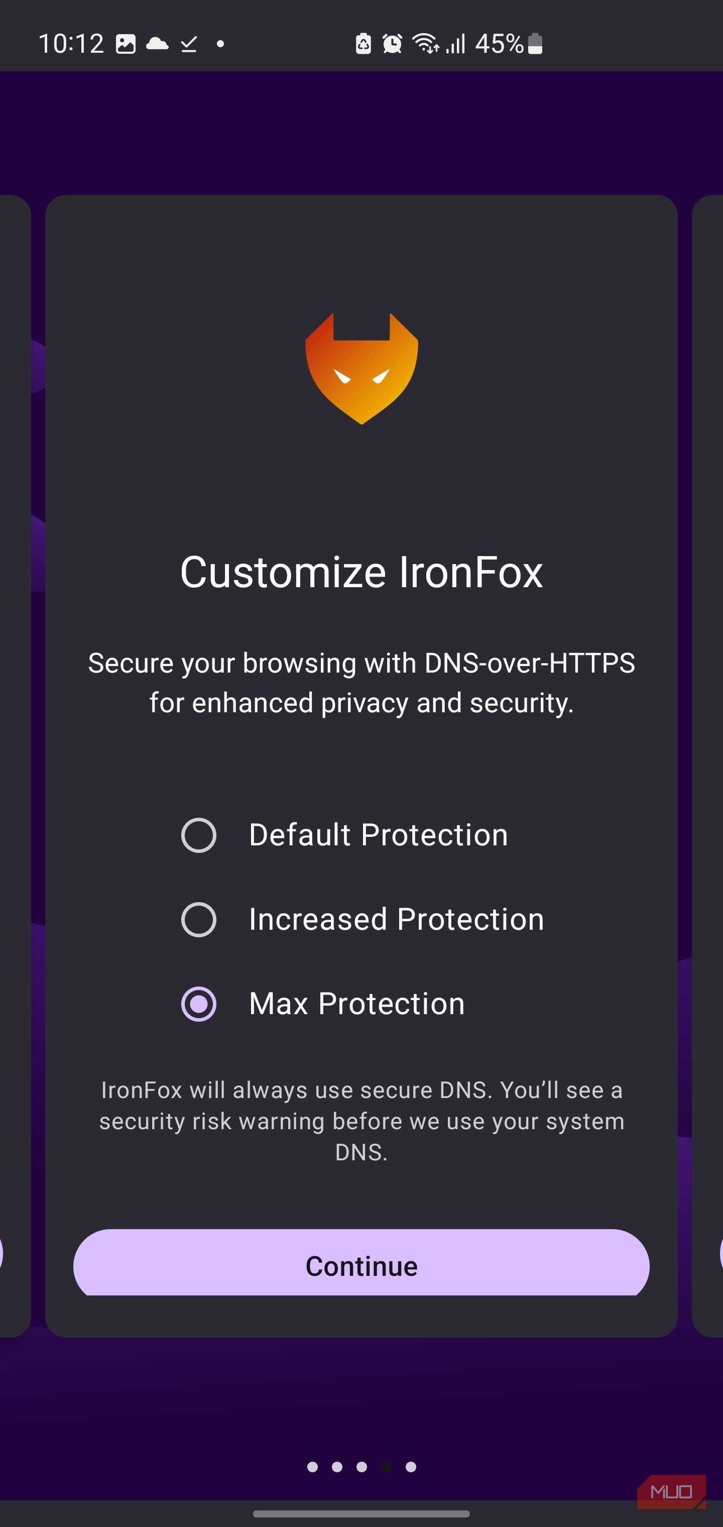 IronFox browser DNS security settings screen